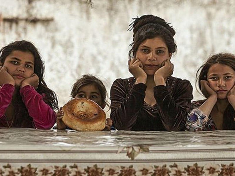 Qaraçılarla bağlı narahatlıq yaranarsa, nə etməli? – DİN-dən açıqlama